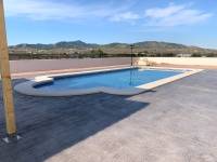 Obra Nueva - Chalet - Pinoso