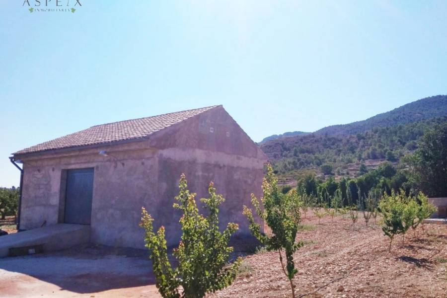 Re-sale - Country house - Hondon De Las Nieves - BAYON
