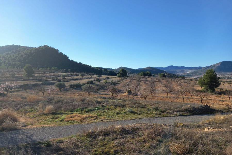 Venta - Casa de campo - Monovar