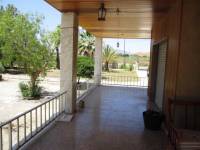 Venta - Casa de campo - Aspe