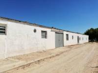 Venta - Casa de campo - Crevillente