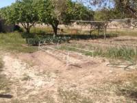 Venta - Chalet - Sax - SAX RURAL