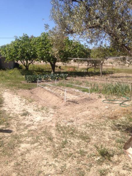 Venta - Chalet - Sax - SAX RURAL