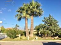 Venta - Chalet - Elche  - Valverde