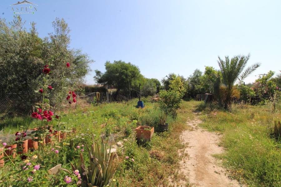 Venta - Casa de campo - Aspe
