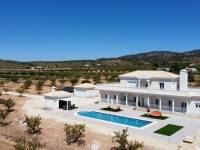 New Build - Villa - Pinoso