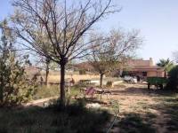 Venta - Casa de campo - Pinoso