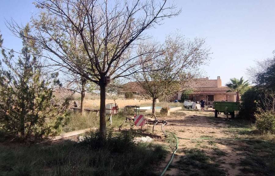 Venta - Casa de campo - Pinoso