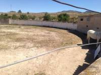 Venta - Chalet - Sax - SAX RURAL