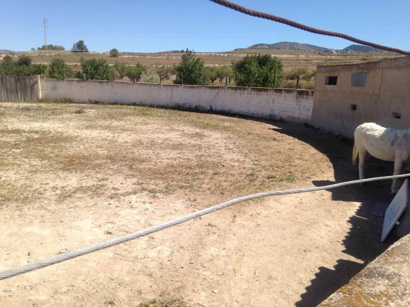 Venta - Chalet - Sax - SAX RURAL