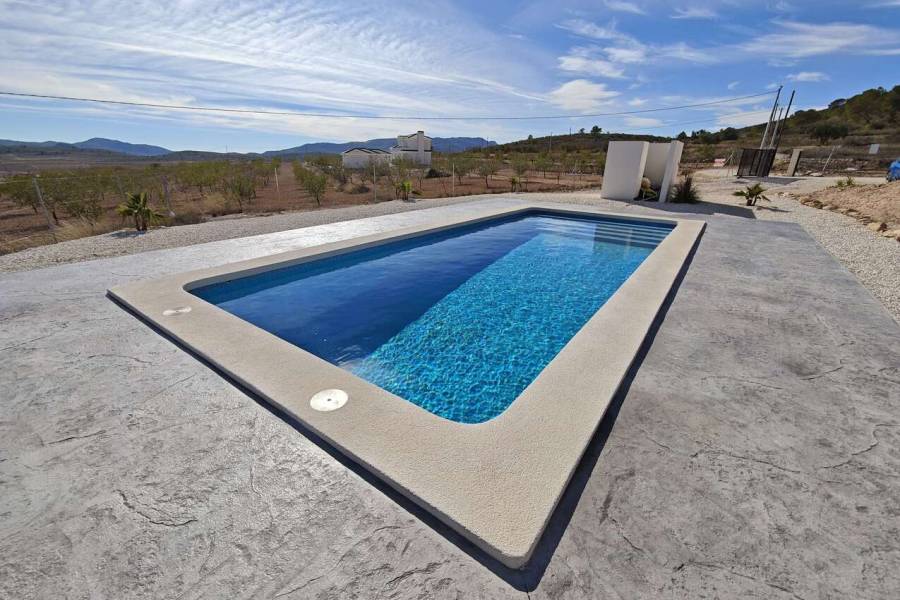 New Build - Country house - Pinoso