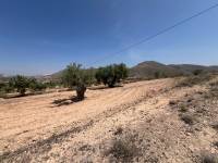 Venta - Plot - Barbarroja