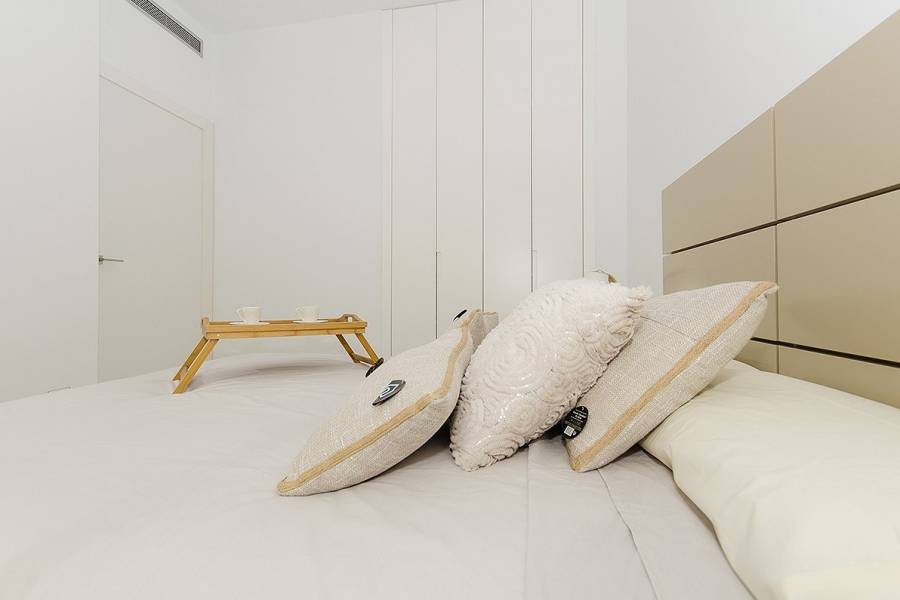 Obra Nueva - Chalet - Campoamor