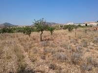 Venta - Plot - Hondon De Las Nieves - LA CANALOSA