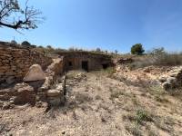 Venta - Plot - Barbarroja