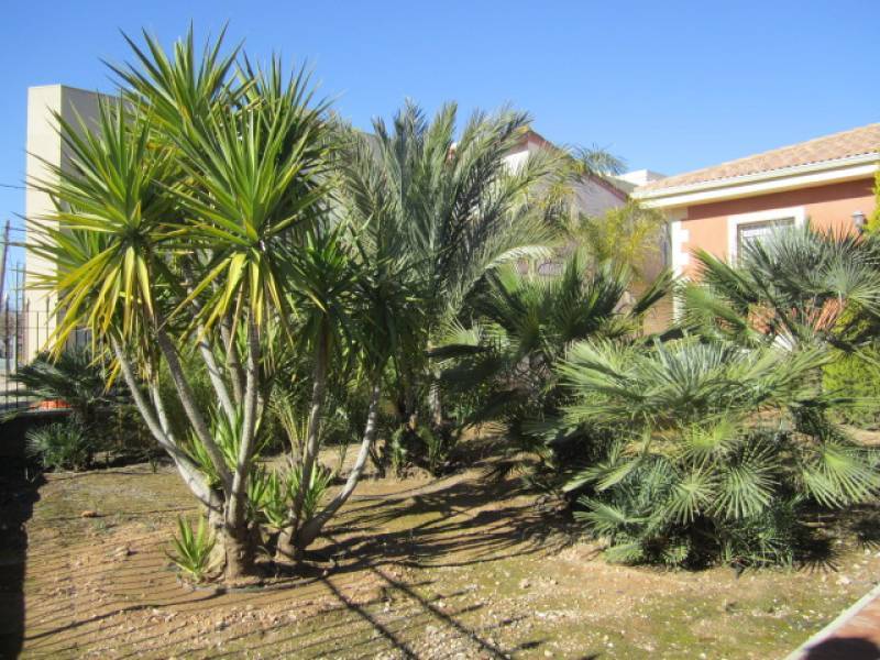 Venta - Casa de campo - Hondon De Los Frailes - PUEBLO