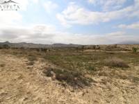 Re-sale - Plot - Monforte Del Cid - Monte Cid