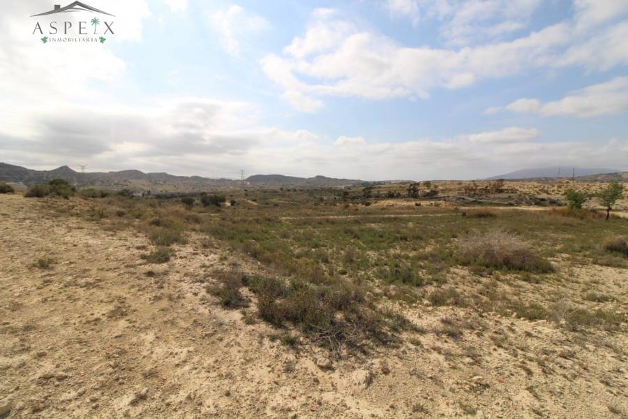 Re-sale - Plot - Monforte Del Cid - Monte Cid