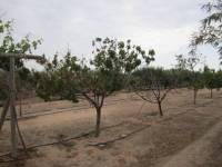 Re-sale - Villa - El Altet - Altet