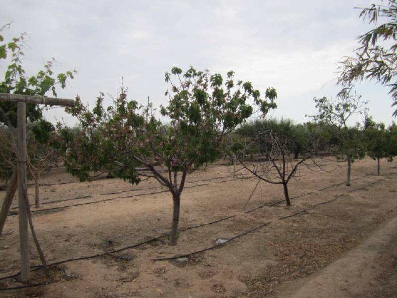 Re-sale - Villa - El Altet - Altet