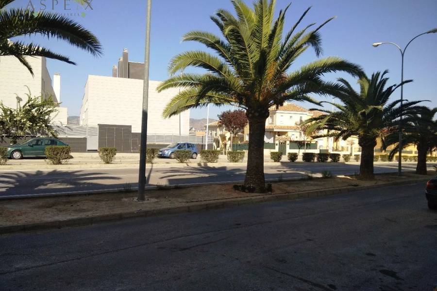 Re-sale -  - Aspe - Caminico de elche