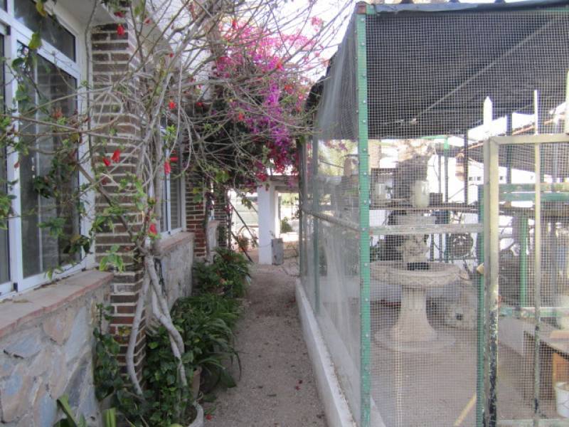 Re-sale - Villa - Elche  - Pussol