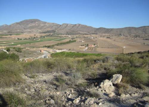Plot - Venta - Hondon De Las Nieves - PTD. SIMOLA