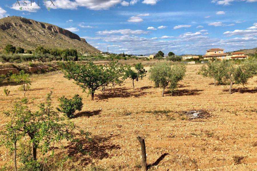 Re-sale - Villa - Hondon De Las Nieves - LA CANALOSA