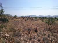 Venta - Plot - Hondon De Las Nieves - LA CANALOSA