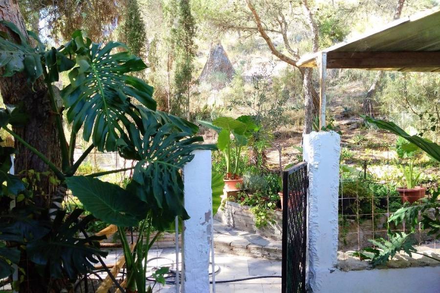 Re-sale - Country house - La Romana - LA ROMANETA