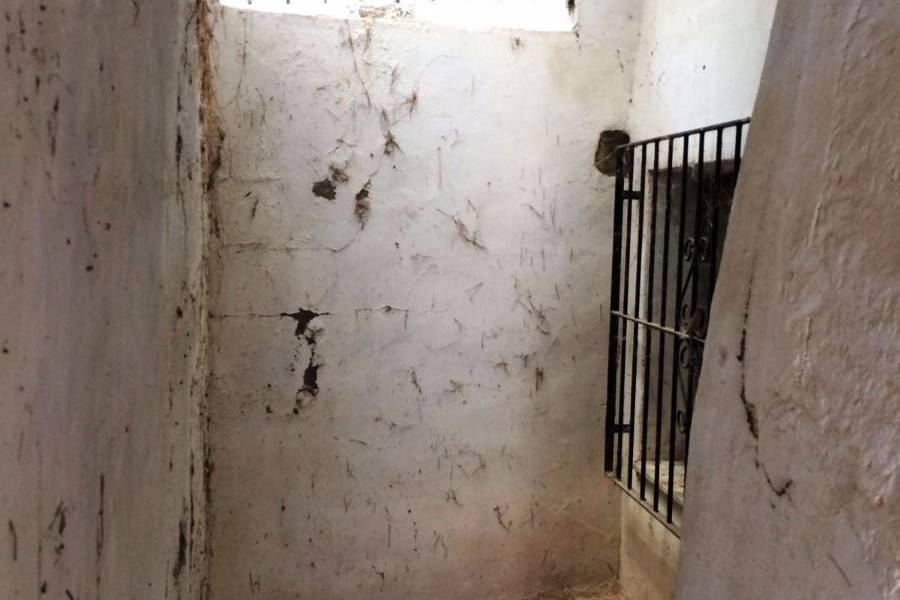 Venta - Casa de campo - Monforte Del Cid - Monforte cid