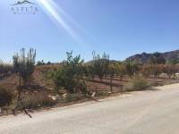 Venta - Casa de campo - Aspe  - Horna