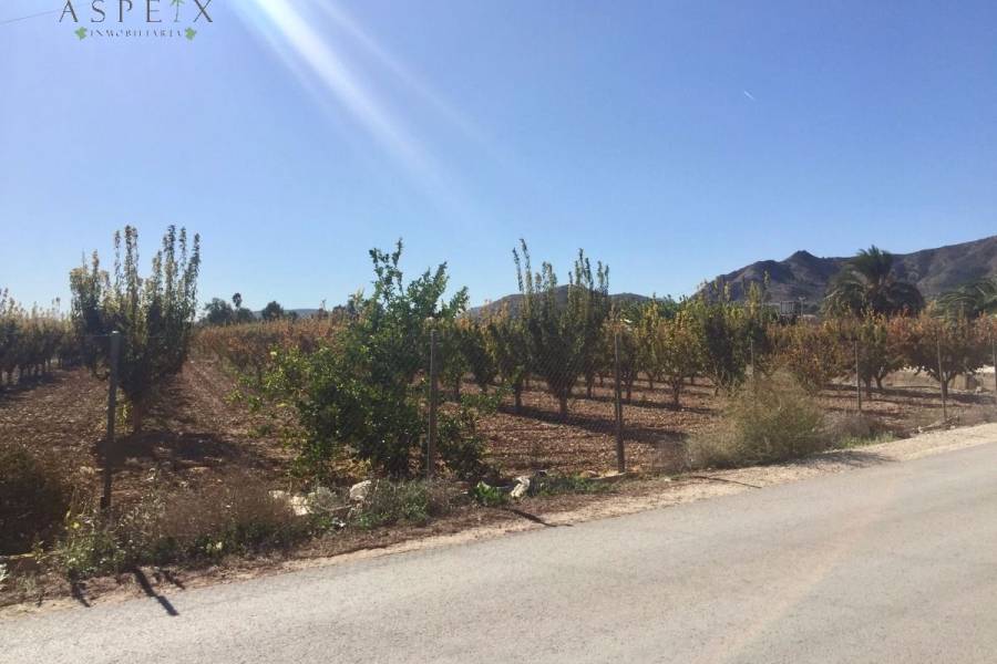 Venta - Casa de campo - Aspe  - Horna