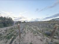 Re-sale - Country land - La Romana - CAÑADA ANDALUZ