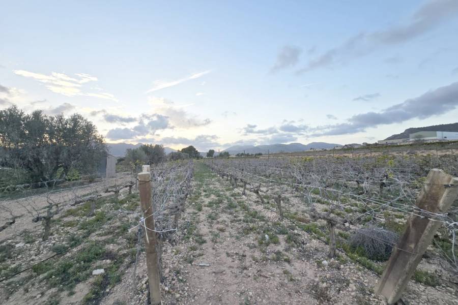 Re-sale - Country land - La Romana - CAÑADA ANDALUZ