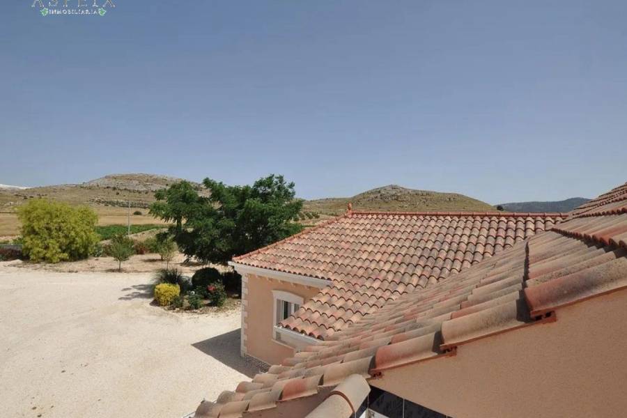Re-sale - Country house - Pinoso