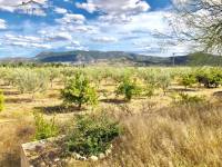 Re-sale - Villa - Hondon De Las Nieves - LA CANALOSA