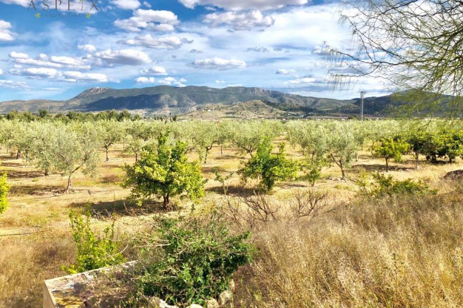 Re-sale - Villa - Hondon De Las Nieves - LA CANALOSA