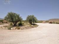 Re-sale - Country house - Pinoso