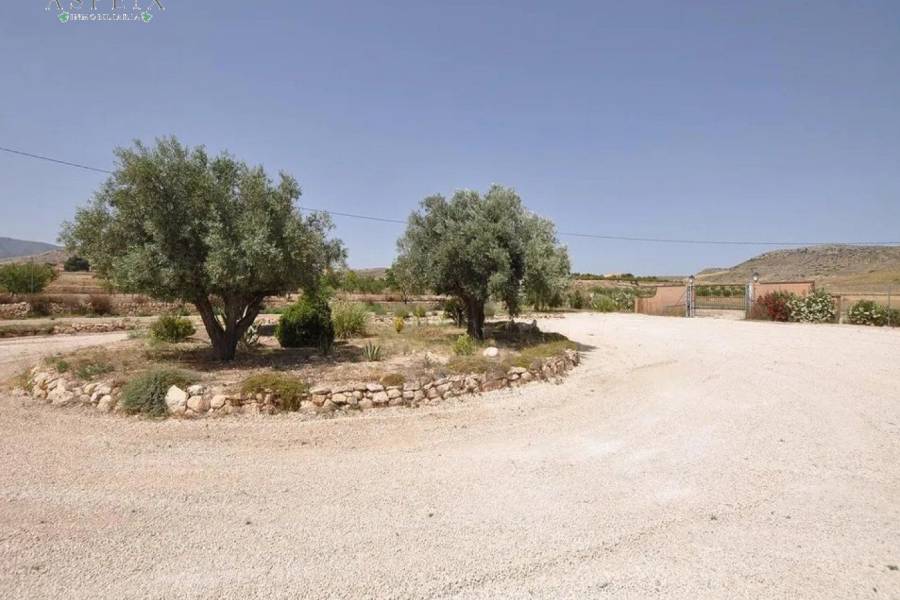 Re-sale - Country house - Pinoso