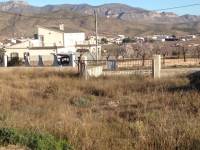 Venta - Plot - Hondon De Los Frailes