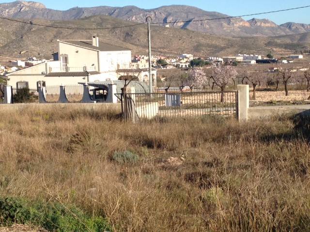 Venta - Plot - Hondon De Los Frailes