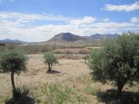 Venta - Chalet - La Romana - ALCANÁ