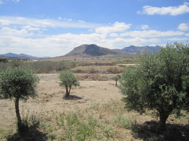 Venta - Chalet - La Romana - ALCANÁ