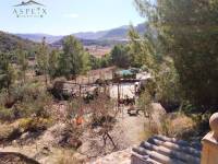 Re-sale - Country house - La Romana - LA ROMANETA