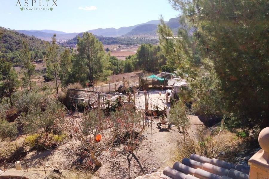 Re-sale - Country house - La Romana - LA ROMANETA