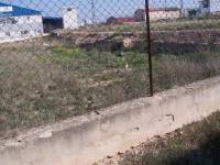 Re-sale -  - Aspe pedanias - El rabosero