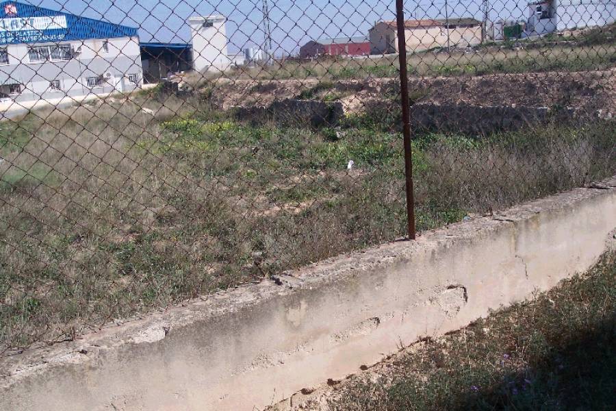 Re-sale -  - Aspe pedanias - El rabosero