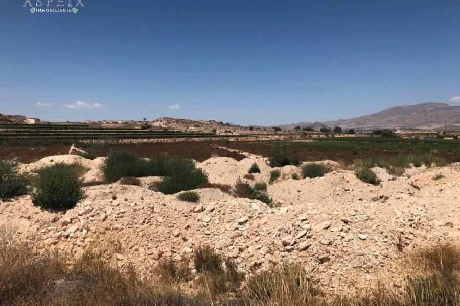 Re-sale - Plot - Monforte Del Cid - AMOLOIG