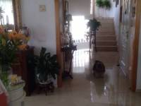 Venta - Chalet - Petrer - Salinetas